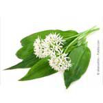 © silencefoto - Fotolia.com