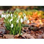 © ondrej83 - Fotolia.com