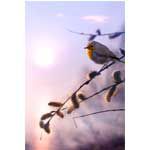 © Konstiantyn - Fotolia.com