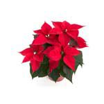 © womue - Fotolia.com