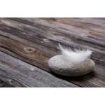 © Jeanette Dietl - Fotolia.com